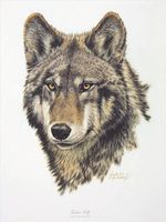 صورة العضو الرمزية