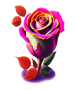 صورة العضو الرمزية